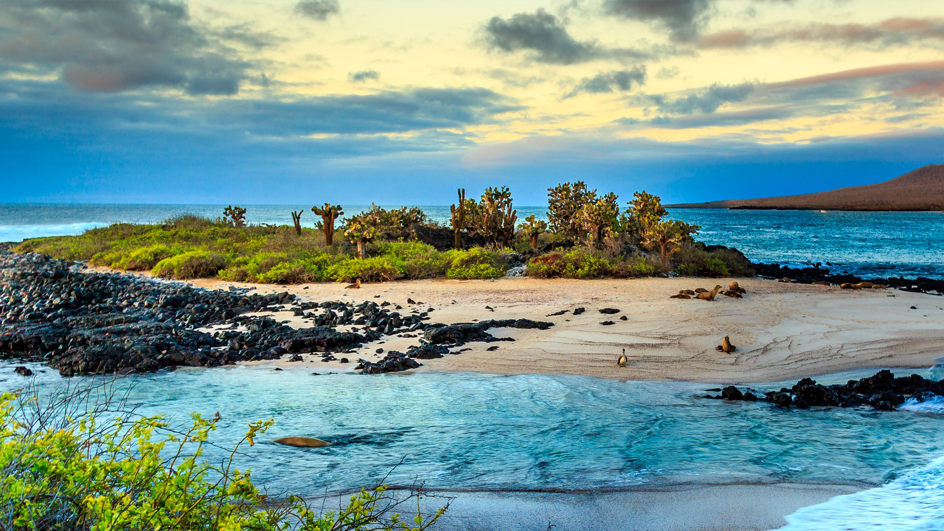 You are currently viewing Guide de voyage des îles Galapagos : un paradis à découvrir