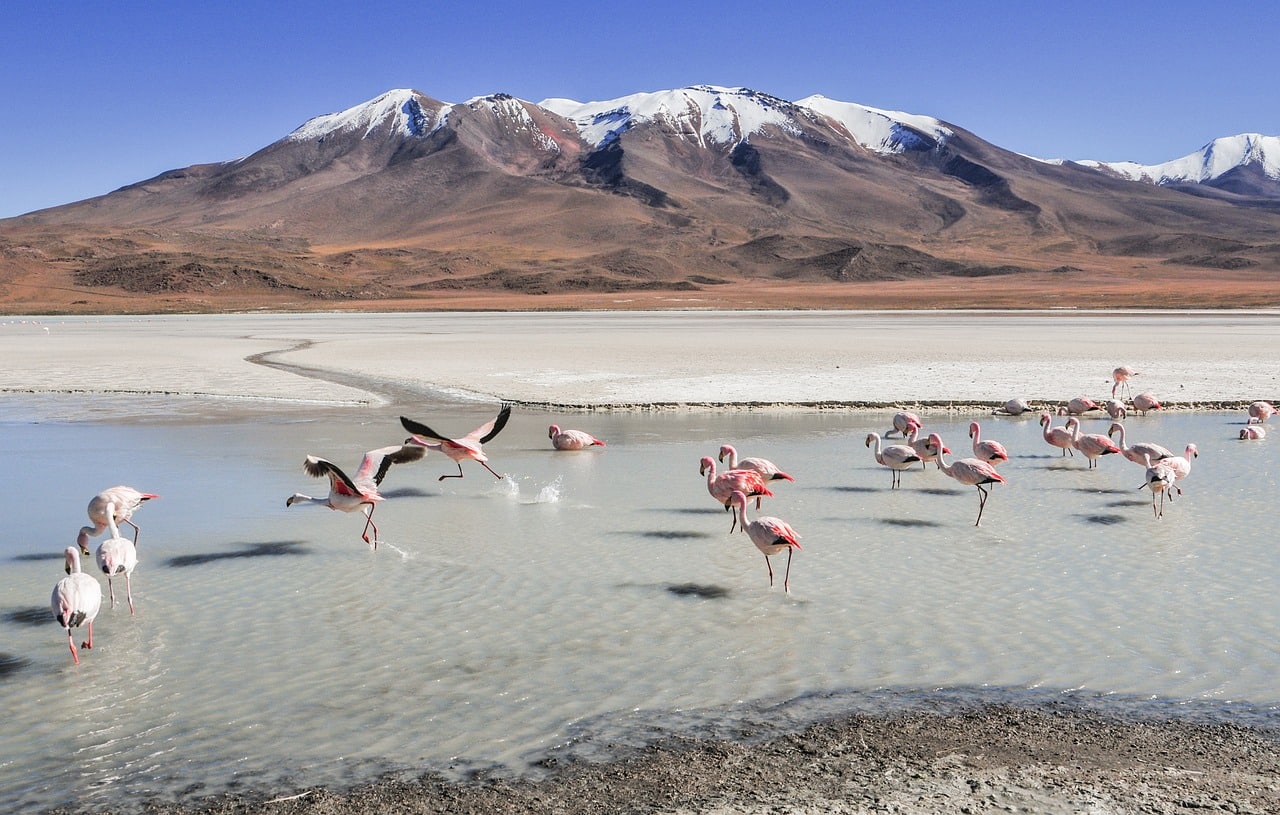 Une image du salar d’uyuni