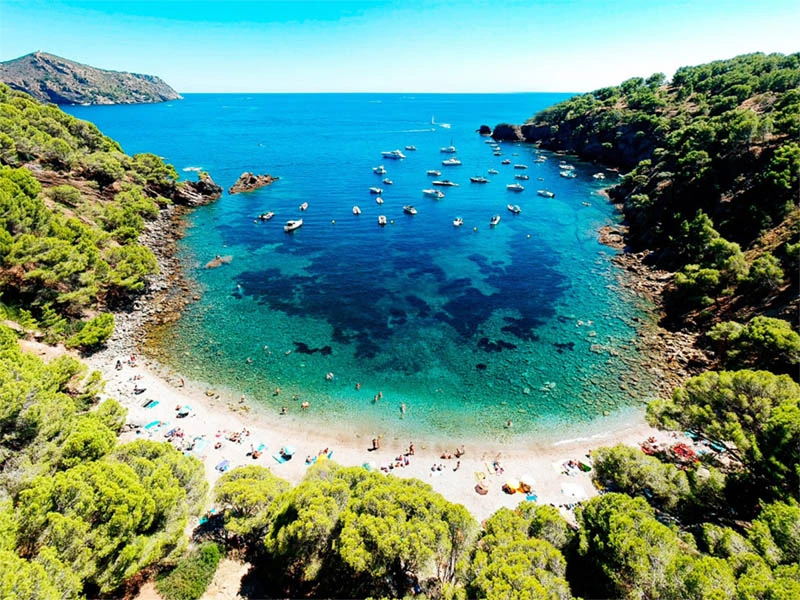 un plage de roses en espagne