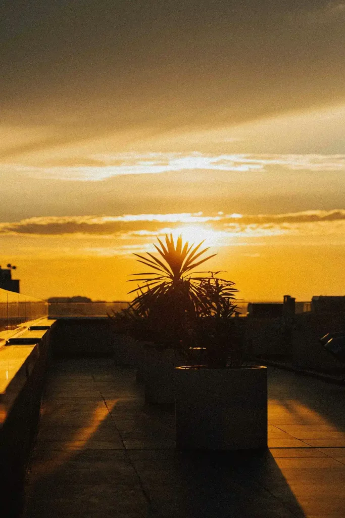 coucher de soleil malaga