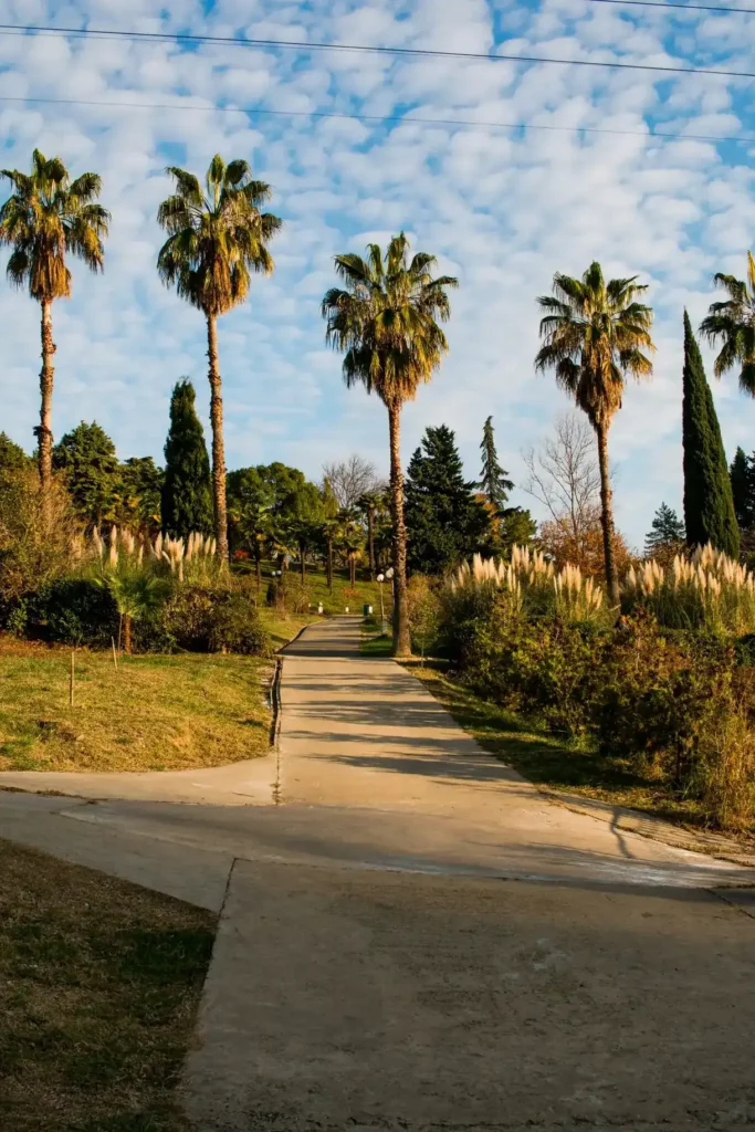 jardin à malaga