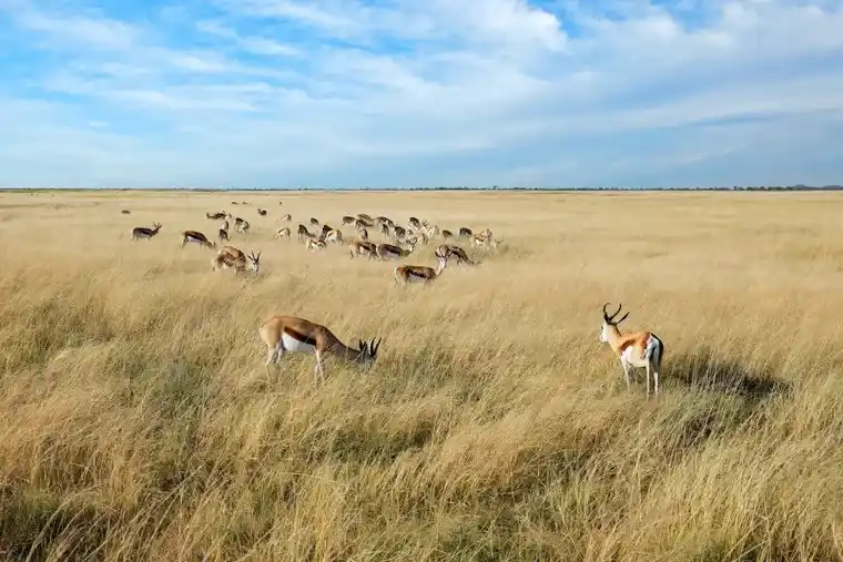 namibie