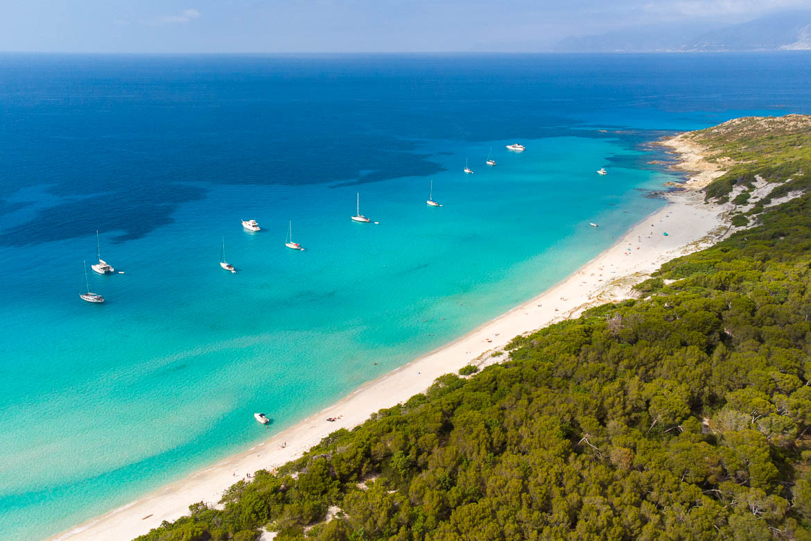 la plage de saleccia en corse