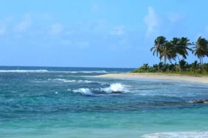 Lire la suite à propos de l’article Guadeloupe : Quand votre horloge biologique part en vacances avant vous