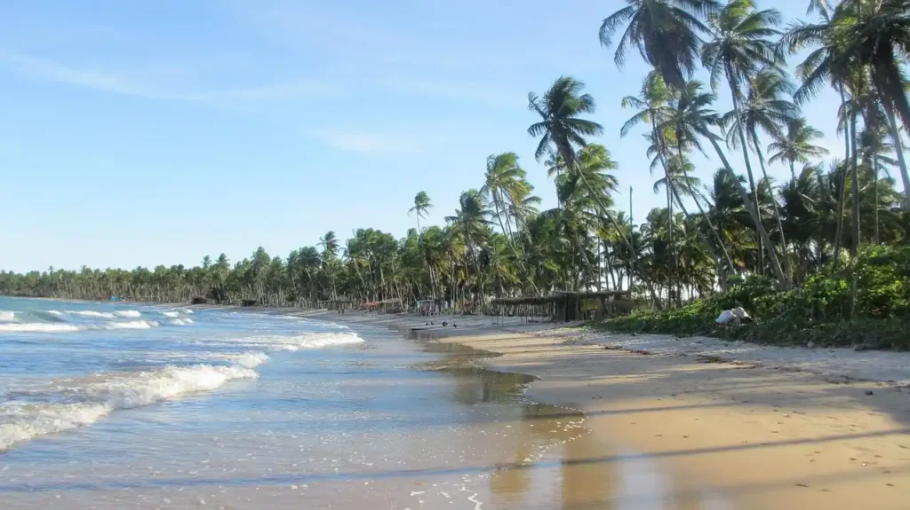 plage salvador de bahia
