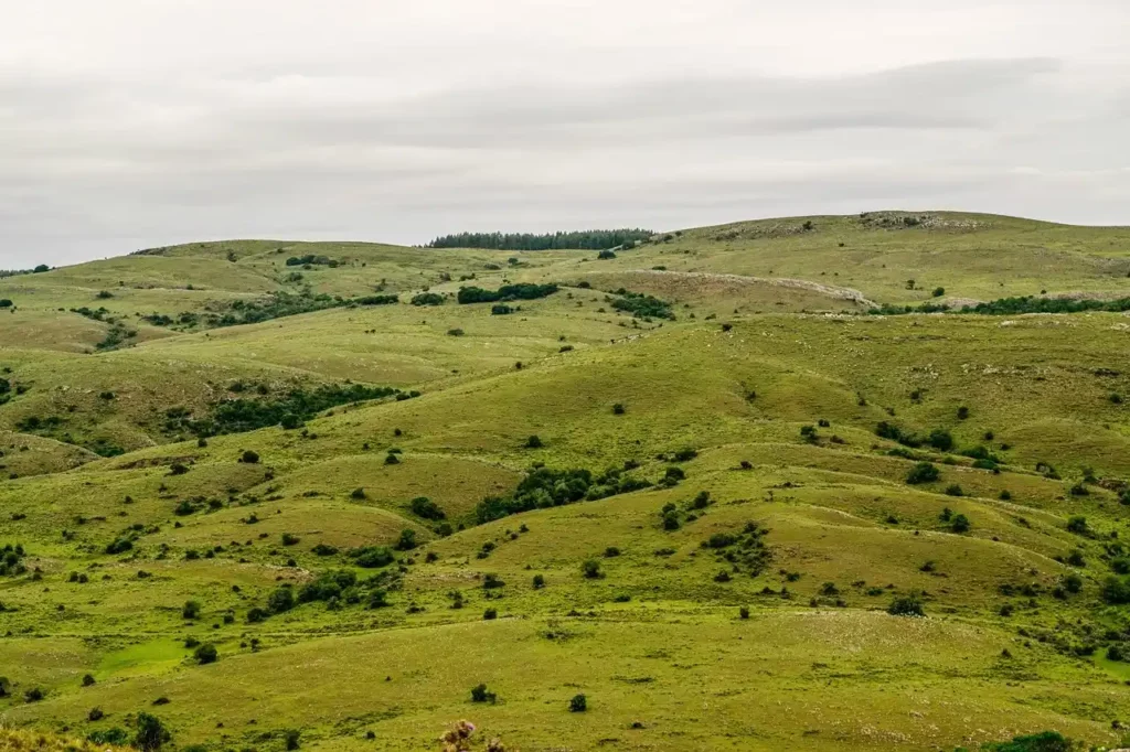 campagne uruguay