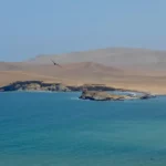 Paracas : Votre évasion vers les merveilles de la côte péruvienne