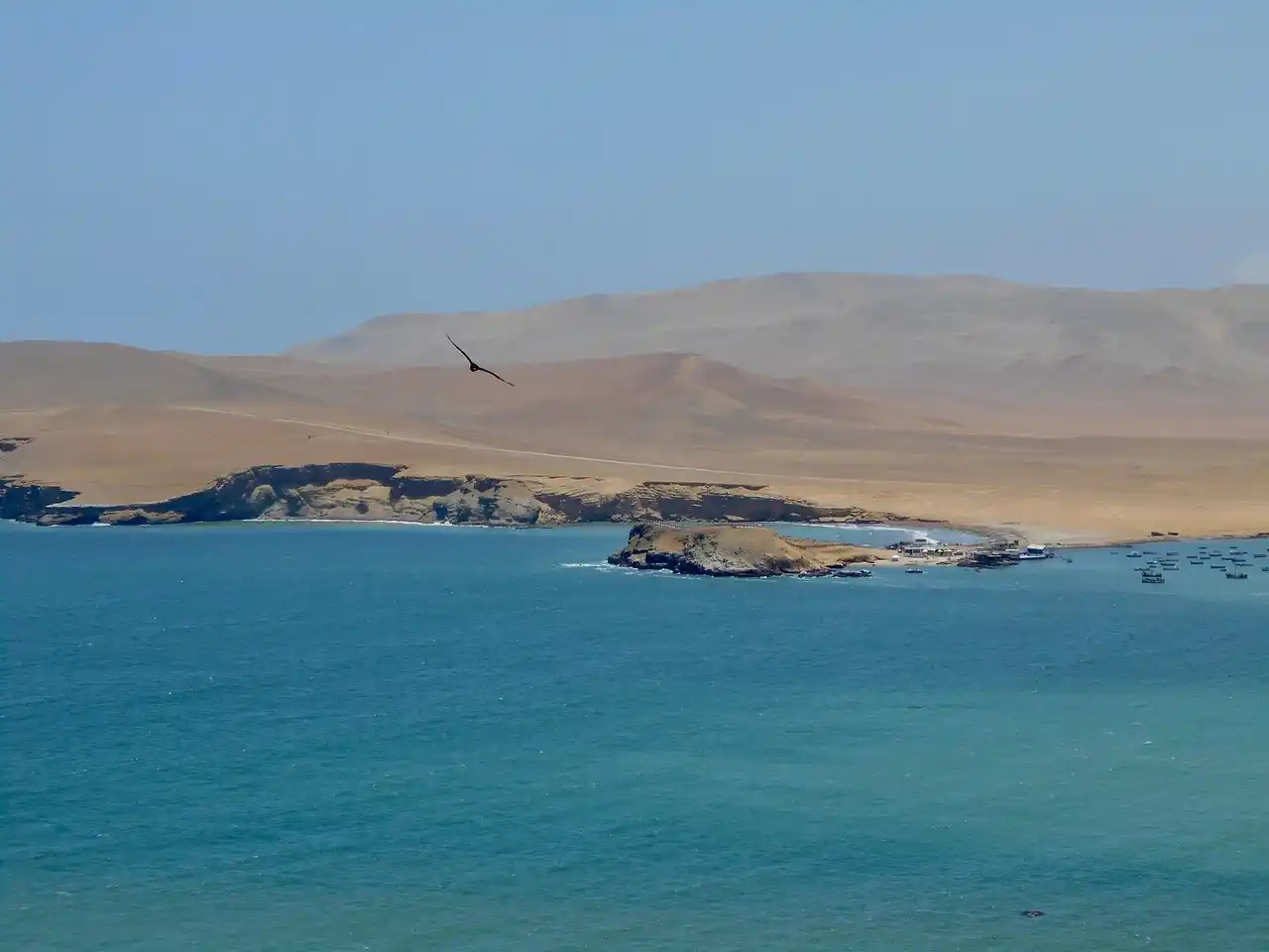 You are currently viewing Paracas : Votre évasion vers les merveilles de la côte péruvienne