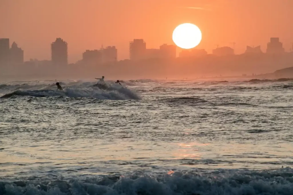 punta del este