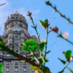 Montevideo : Guide Complet pour Découvrir la Capitale Charmante de l’Uruguay