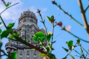 Lire la suite à propos de l’article Montevideo : Guide Complet pour Découvrir la Capitale Charmante de l’Uruguay