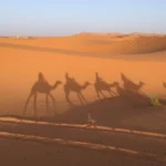 Adrar Algérie : histoire, oasis et architecture saharienne