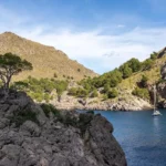 Que Faire à Majorque : Guide Complet des 15 Incontournables (2025)