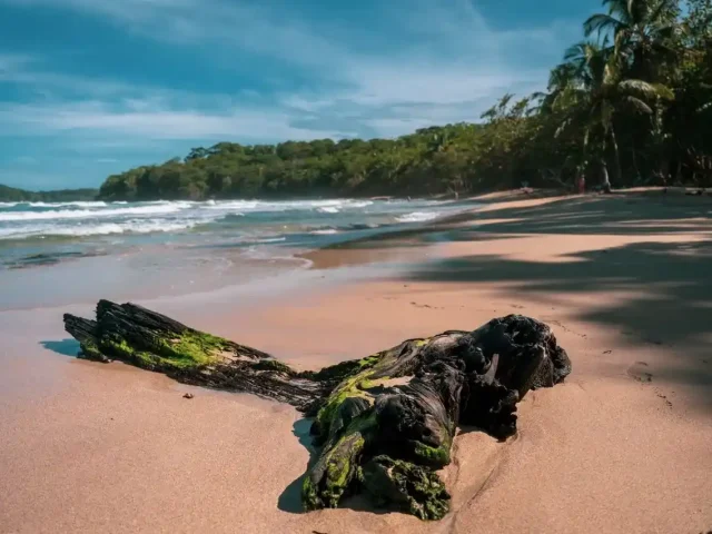 Vue sur une plage de puerto viejo au costa rica