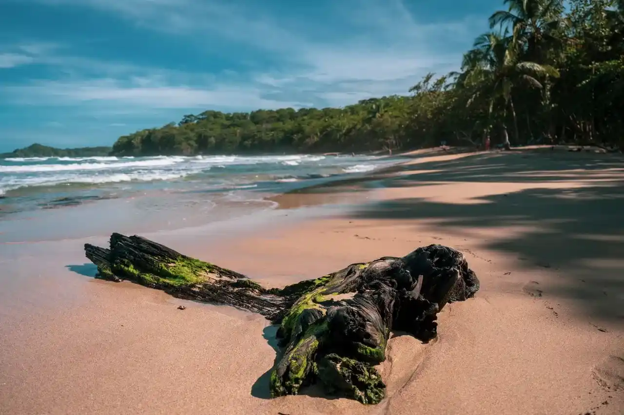 Vue sur une plage de puerto viejo au costa rica