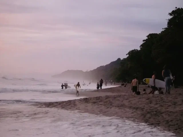 des surfeurs à santa teresa au costa rica