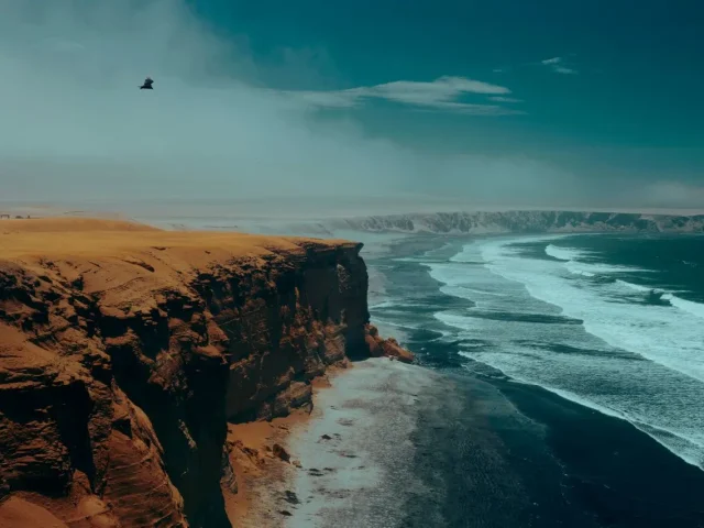 vue magnifique dans le parc de paracas