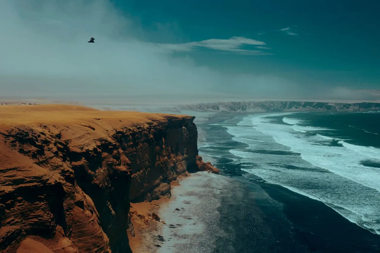 vue magnifique dans le parc de paracas